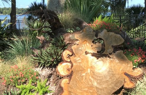 Hardscape Design in Orlando, Florida by BLG Environmental Services