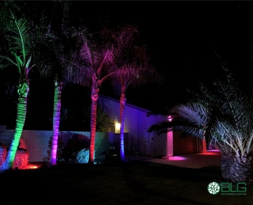 Alliance Outdoor Lighting Bluetooth Fixtures Installed by BLG Environmental Services in Orlando, Florida