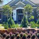 BLG - The Best Landscape Company in Orlando Florida