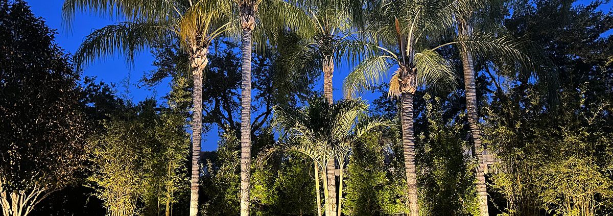 Backyard Design Ideas in Orlando, Florida by BLG Environmental Services