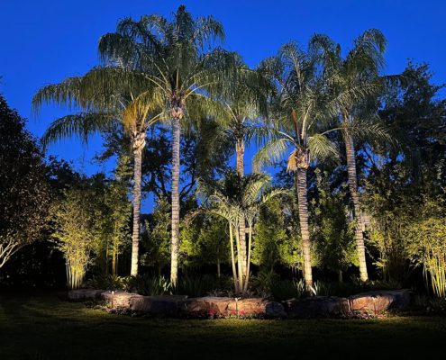 Backyard Design Ideas in Orlando, Florida by BLG Environmental Services