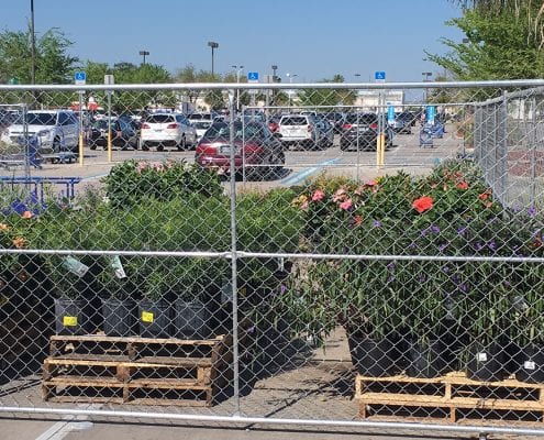 What’s Better a Big Box Retailer or Local Orlando Landscape Designer?
