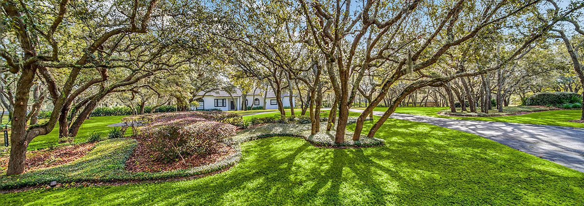 The best Central Florida landscape design tips that actually work: real strategies for beautiful, durable outdoor spaces by BLG Environmental Services