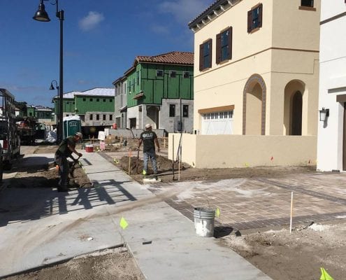 Commercial Landscape Design for Orlando in Dr. Phillips, Florida