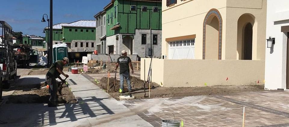 Commercial Landscape Design for Orlando in Dr. Phillips, Florida