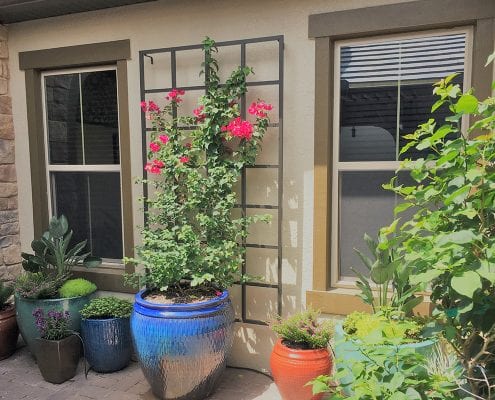 Orlando Landscape Design by BLG Environmental Services
