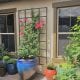 Orlando Landscape Design by BLG Environmental Services