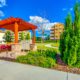 BLG Environmental Services - A Landscape Company in Orlando FL