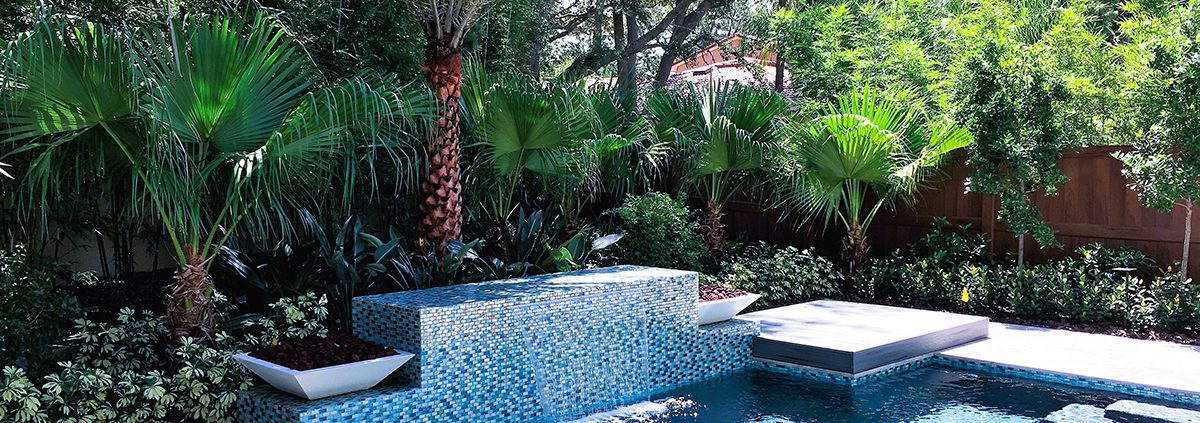 Best Orlando Landscaping Solutions with BLG Environmental Services