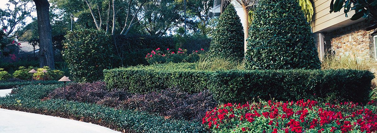Top 5 Orlando Landscaping Design Trends For 2025 by BLG Environmental Services