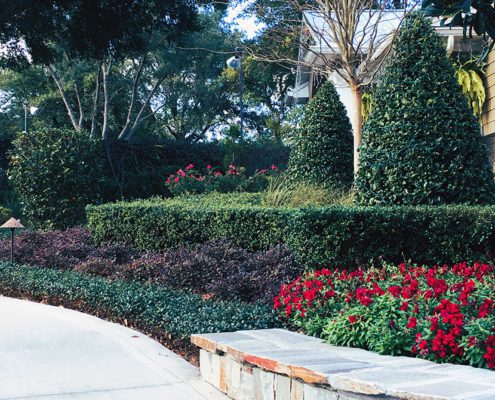 Top 5 Orlando Landscaping Design Trends For 2025 by BLG Environmental Services
