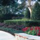Top 5 Orlando Landscaping Design Trends For 2025 by BLG Environmental Services