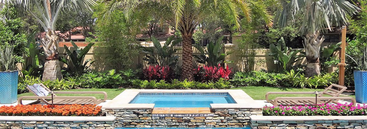Luxury backyard pool with tropical palm landscaping and coordinated outdoor design in Orlando Florida