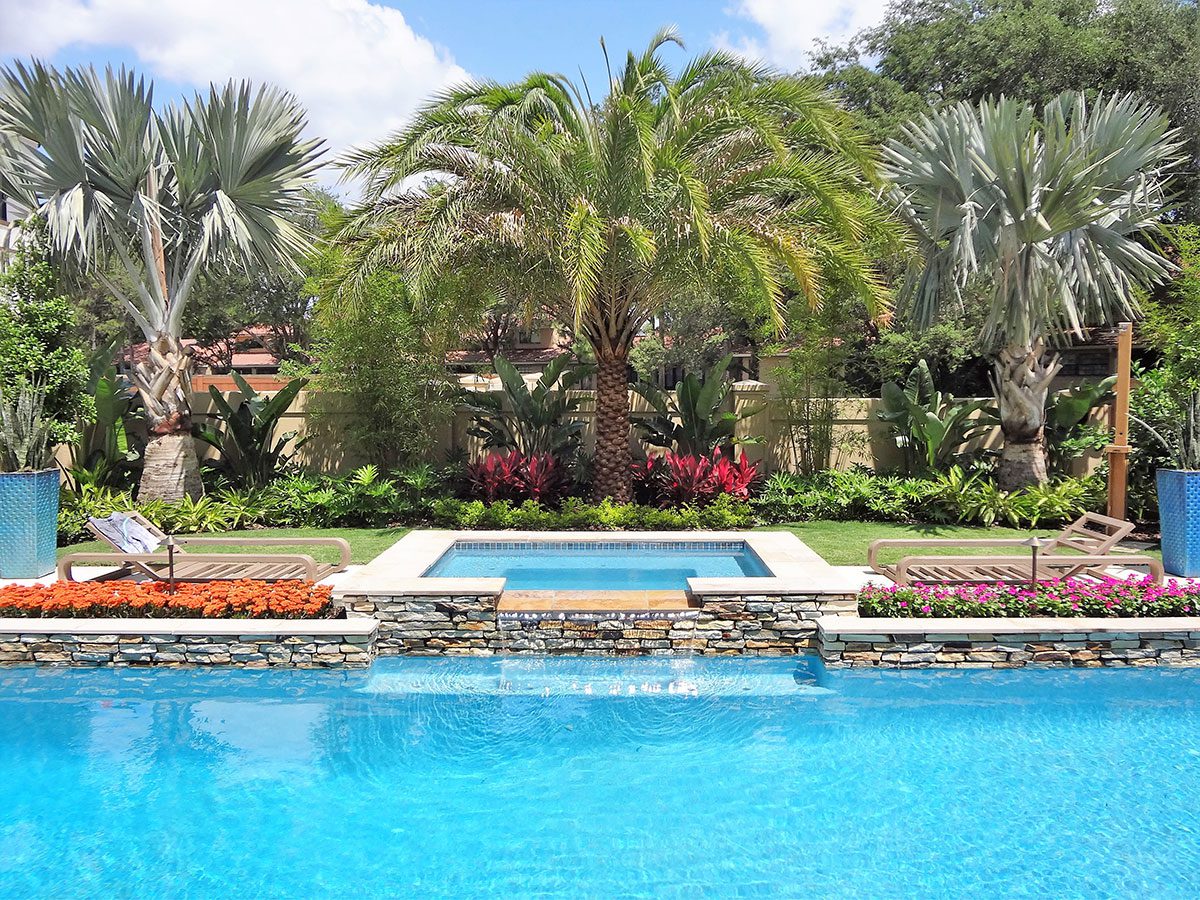 Luxury backyard pool with tropical palm landscaping and coordinated outdoor design in Orlando Florida